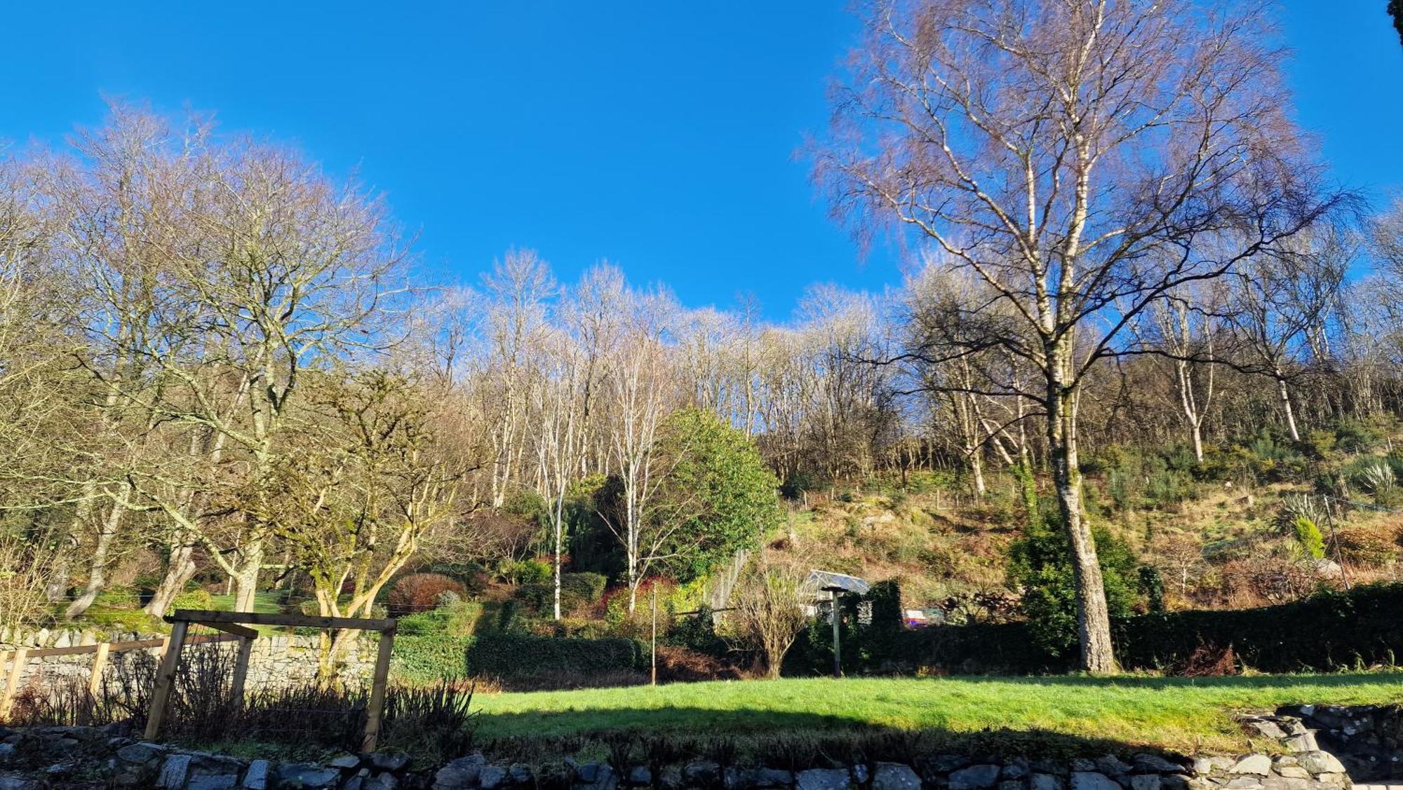 Nordlys Cottage Newton Stewart Exterior foto